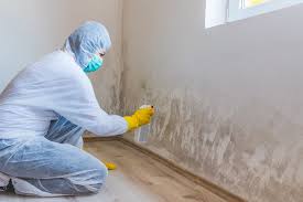 Best Commercial Mold Inspection in Dellwood, MN